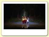 a_(16)