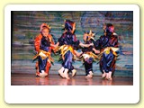 sirenetta (10)