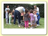 vendemmia_2011_b