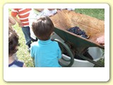 vendemmia_2011_g