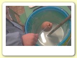 pasqua_2013 (3)