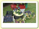 vend_14_1