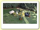 vendemmia_2013 (1)