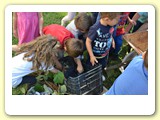 vendemmia_2013 (12)