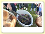 vendemmia_2013 (13)