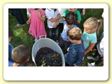 vendemmia_2013 (14)