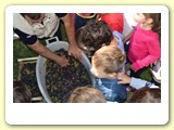 vendemmia_2013 (16)