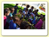 vendemmia_2013 (5)