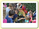 vendemmia_2013 (7)