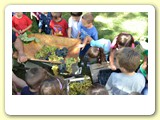 vendemmia_2013 (9)